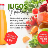 Pack de 6 Jugos Naturales (500cc)