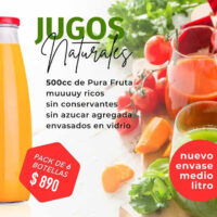 Pack de 6 Jugos Naturales (500cc)